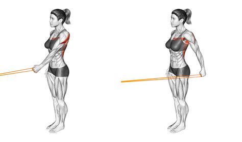 Shoulder Tendonitis: 5 Stretches and 5 Exercises (with Pictures ...