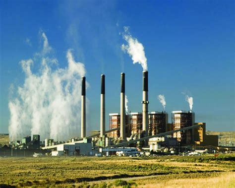 OUR ENVIRONMENT: BUILD BACK BETTER