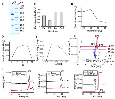 High-Level Extracellular Production of a Trisaccharide-Producing ...