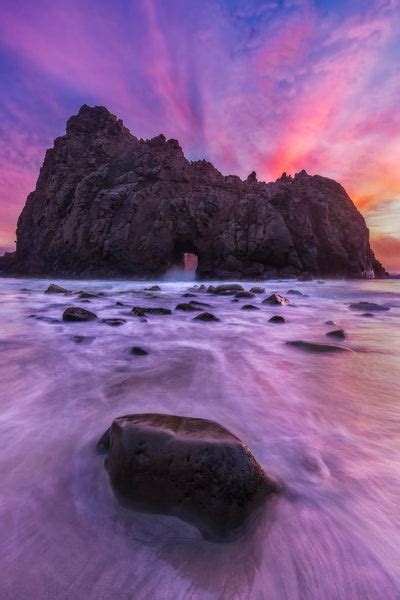 Pfeiffer Splendor - Life Size Posters by Srivats Ravichandran Photos ...