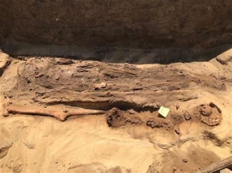 Mummies with Gold Tongues Unearthed at Ancient Egyptian Cemetery | The ...