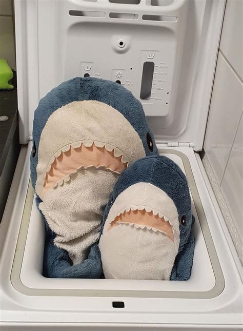 Image result for Blahaj Washing Machine