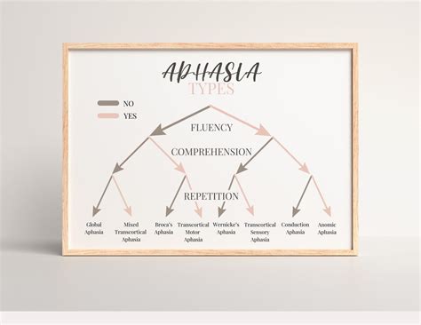 Image result for Aphasia Classification Chart