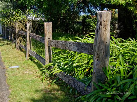 Stringing Fences 的图像结果