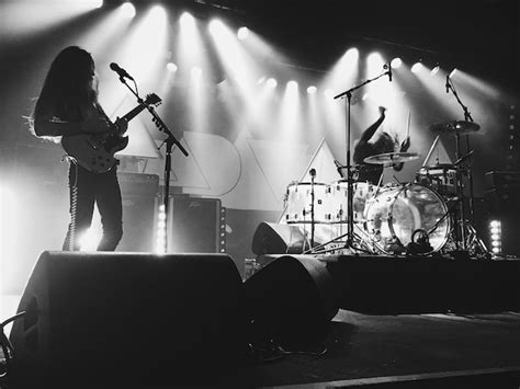 Musicians 的图像结果