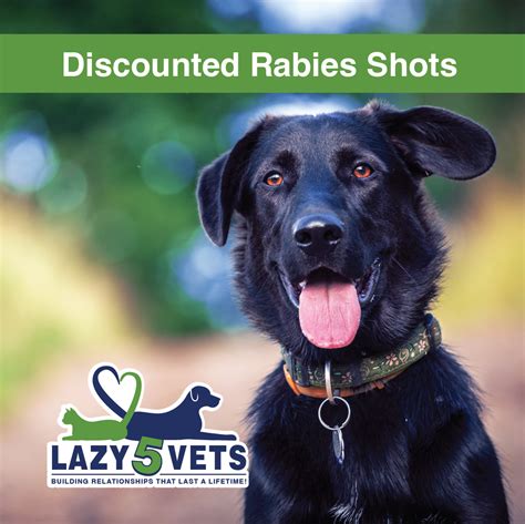 Monthly Specials - Lazy 5 Vets