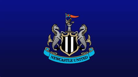 Newcastle top scorers 2024/25 | Football News | Sky Sports
