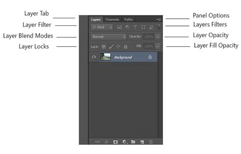 The Layers Panel Full-Course Tutorial 的图像结果