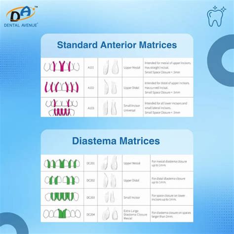 Bioclear Matrix Systems: Enhancing Dental Restorations – Dental Avenue