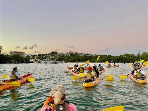 PUERTO RICO BIO BAY TOURS LLC (2025) All You Need to Know BEFORE You Go ...