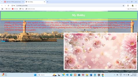 HTML Practical Test 的图像结果