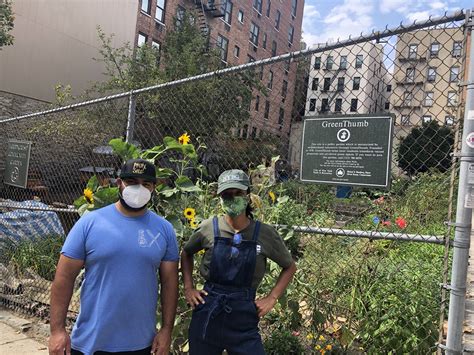 Bronx Green-Up and NYC Compost Project Reconnecting Virtually with ...