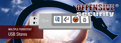 Image result for Kali Linux Persistent USB