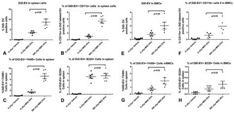Biodistribution of Mesenchymal Stem Cell-Derived Extracellular Vesicles ...