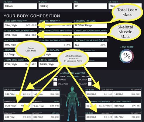 Understanding Lean Body Mass and Skeletal Muscle Mass: Key Factors for ...