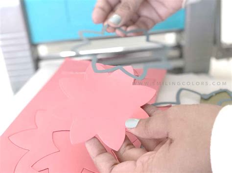 Die Cutting Machine 的图像结果