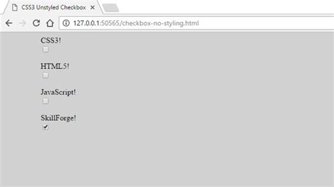 Image result for ASP Checkbox CSS
