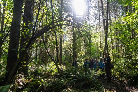 Forest School: An Environmental Education - North Cascades Institute