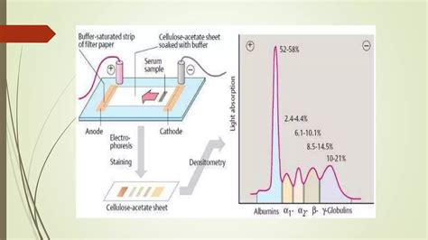 Image result for Class 8 Computer Science Notes