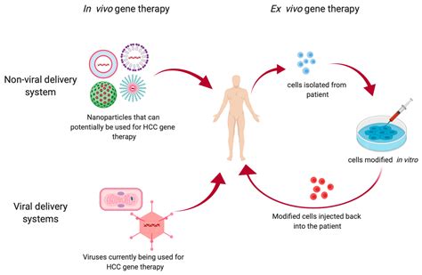 Current Status of Gene Therapy in Hepatocellular Carcinoma