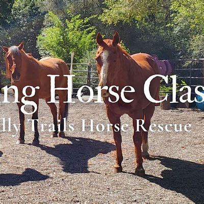 SACKING OUT: Respecting Nervous System Sensitivity in Horses and Humans ...