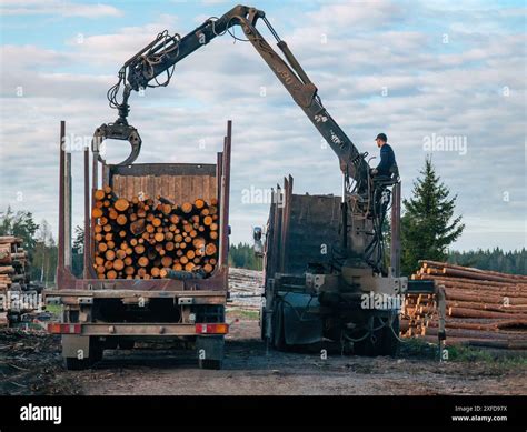 Image result for Backhoe Loading Logs