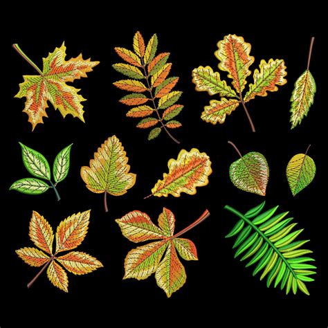 Image result for Fall Leaf Designs