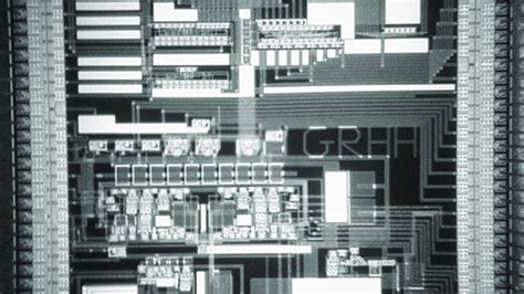 Primal Behavior Chip 的图像结果