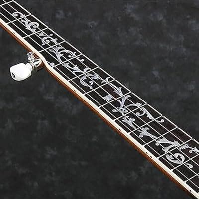 Buy Ibanez B300 5-string Resonator Banjo Online India | Ubuy