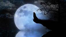 Wolf Wallpaper Moon by Wolf Howling At The Moon Wallpapers 74 Background Pictures Wolf Wallpaper Moon
