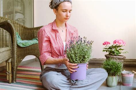 A Guide To Growing Lavender Indoors