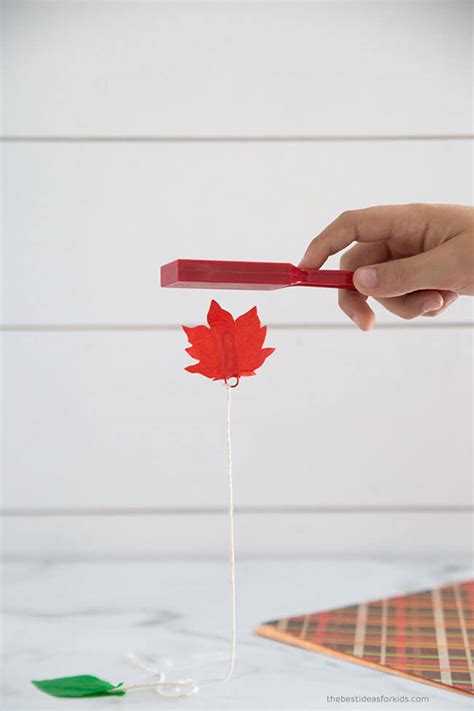 Image result for Magnets Experiment