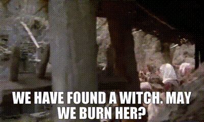 Image result for Monty Python Witch Scene