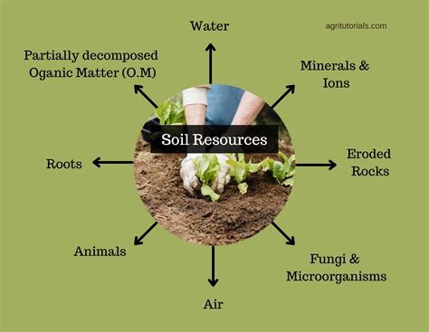 Soil Resources: The Lifeblood of Agriculture - AGRI TUTORIALS