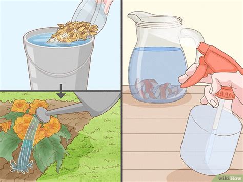 Image result for How Is Food Disposed