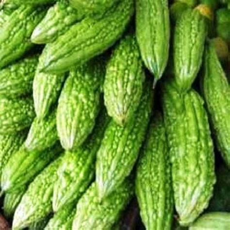 Pusa Vishesh Bitter Gourd (Karela) seed- 20 : Amazon.in: Garden & Outdoors
