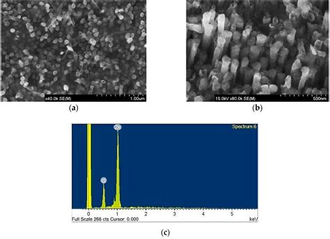 Fabrication of ZnO Nanowires Arrays by Anodization and High-Vacuum Die ...