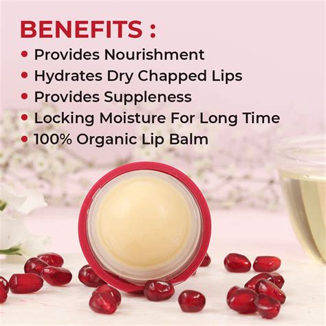 Organic Harvest Pomegranate Lip Balm | Sugatra
