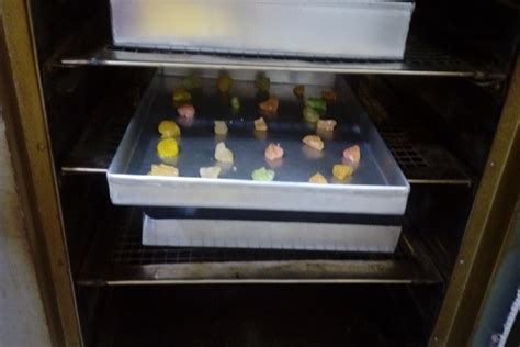 PM Formlisation of Micro Food Processing Enterprises Scheme