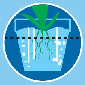 Buy Casa De Amor Water Storing Crystals | Water Retaining Super ...