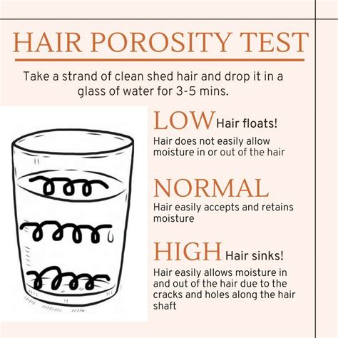 Best Hair Porosity Test (Infographic)