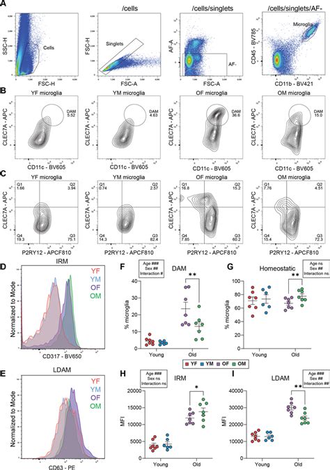 Image result for Flow Cytometry of Microglia Videotutorial
