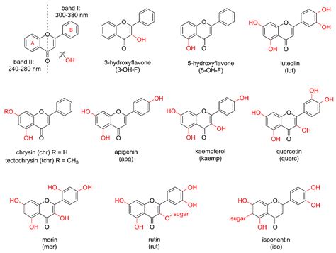 Metal Complexes with Hydroxyflavones: A Study of Anticancer and ...