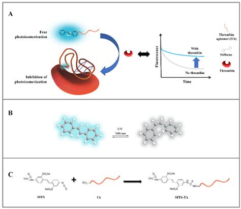 A Fluorescence Kinetic-Based Aptasensor Employing Stilbene ...