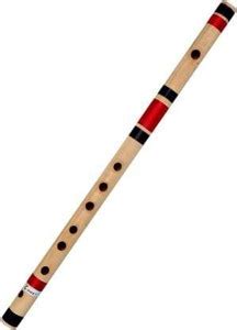 BestBrother C Sharp 7 Hole Flute 18.5 Inch Bamboo Flute Bamboo Flute ...