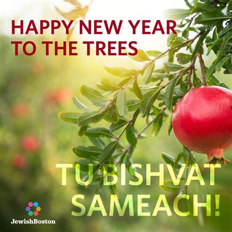 Torah and Tea Tu Bishvat edition, Friendship Circle of Wisconsin, Fox ...