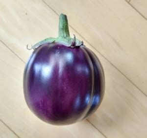 UGRA Brinjal Seed Price in India - Buy UGRA Brinjal Seed online at ...