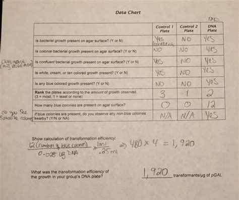 Image result for Transformation Efficiency Formula