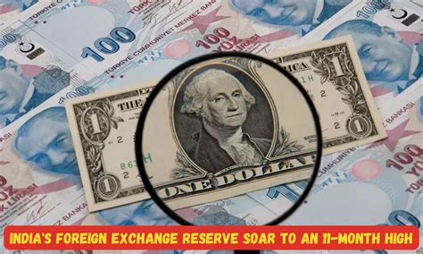 India's foreign exchange reserve soar to an 11-month high of $595.9