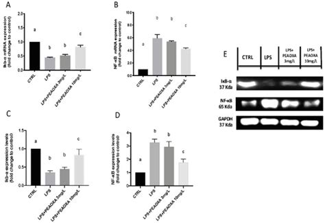 RETRACTED: Assessment of 2-Pentadecyl-2-oxazoline Role on ...